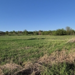 Парцел в Козлодуй - 1025 кв.м за 10 €/кв.м - Снимка #1