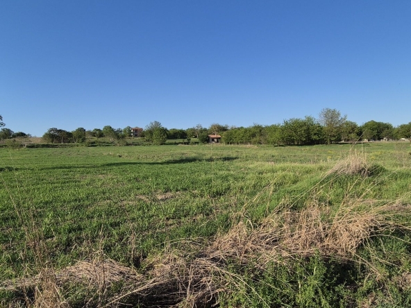 Парцел в Козлодуй - 1025 кв.м за 10 €/кв.м - Снимка #1