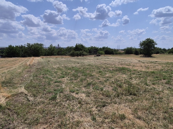 Парцел в Козлодуй - 1025 кв.м за 10 €/кв.м - Снимка #1