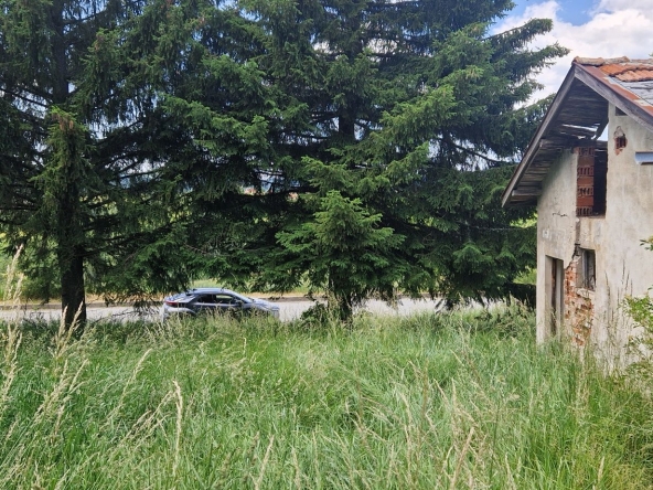 Парцел в с. Плана, Област София-град - 1000 кв.м за 70 €/кв.м - Снимка #1