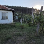 Къща в с. Невестино, Област Кюстендил - 52 кв.м за 540 €/кв.м - Снимка #1