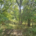 Парцел в с. Ковачевци, Област Перник - 750 кв.м за 22 €/кв.м - Снимка #1