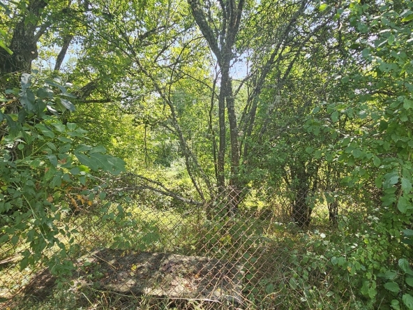 Парцел в с. Ковачевци, Област Перник - 750 кв.м за 22 €/кв.м - Снимка #1