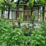 Парцел в Ямбол, Център - 755 кв.м за 10 €/кв.м - Снимка #1