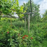 Парцел в Ямбол, Център - 755 кв.м за 10 €/кв.м - Снимка #1