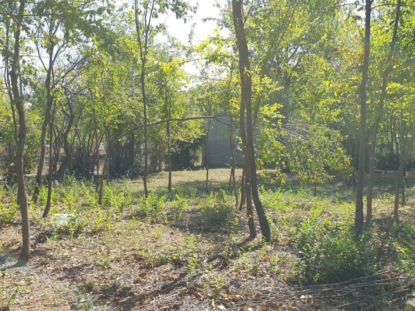 Парцел в с. Лесичарка, Област Габрово - 850 кв.м за 17 €/кв.м - Снимка #1