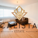 Дава се под наем Двустаен апартамент в София, Лагера - 81 кв.м за 540 € - Снимка #1