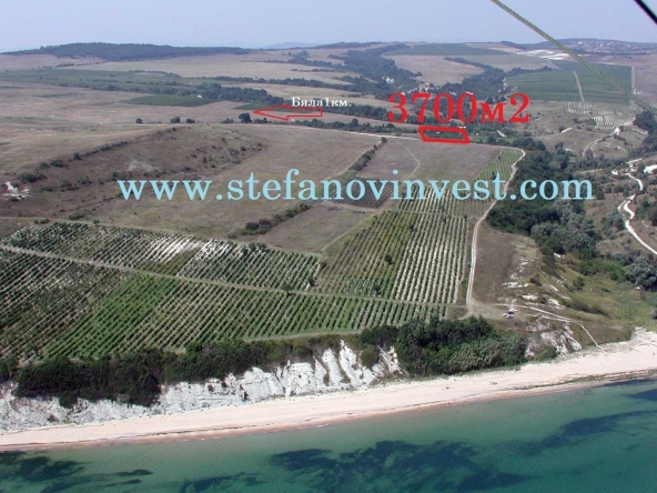 Парцел в Бяла - 3700 кв.м за 15 €/кв.м - Снимка #1