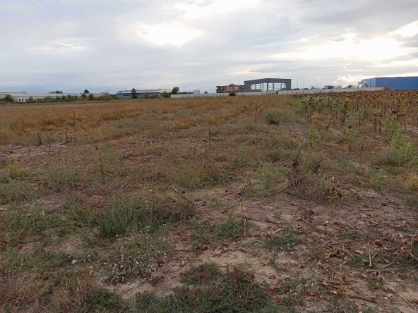 Дава се под наем Земеделски имот в с. Труд, Област Пловдив -  кв.м за 1495.83 € - Снимка #1