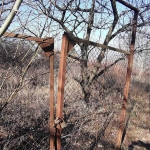 Парцел в Търговище, Вилна зона - 1050 кв.м за 11 €/кв.м - Снимка #1