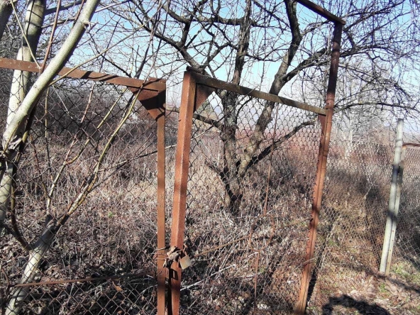 Парцел в Търговище, Вилна зона - 1050 кв.м за 11 €/кв.м - Снимка #1