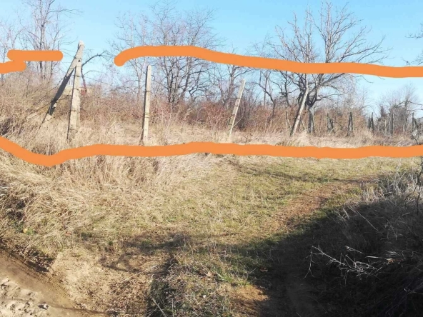 Земеделски имот в Попово -  кв.м за 2550 €/дка - Снимка #1