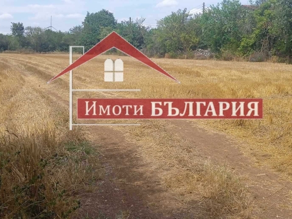 Парцел в с. Българево, Област Добрич - 2590 кв.м за 28 €/кв.м - Снимка #1