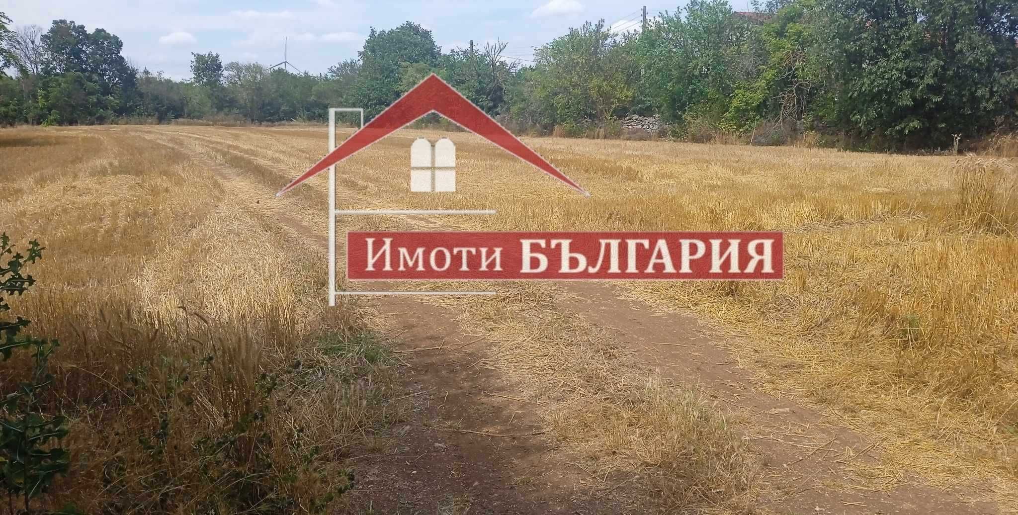 Парцел в с. Българево, Област Добрич - 2590 кв.м за 28 €/кв.м - Снимка #1