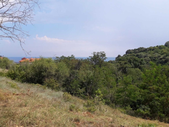 Парцел в Варна, Аспарухово - 1748 кв.м за 69 €/кв.м - Снимка #1