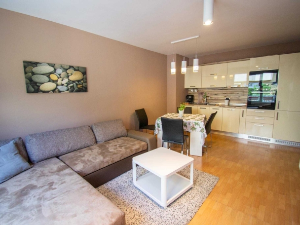 Дава се под наем Тристаен апартамент в София, Витоша - 80 кв.м за 558.45 € - Снимка #1