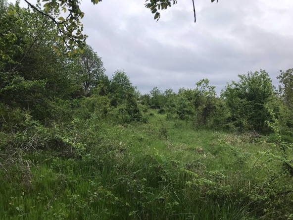 Парцел в с. Аврен, Област Варна - 1500 кв.м за 16 €/кв.м - Снимка #1