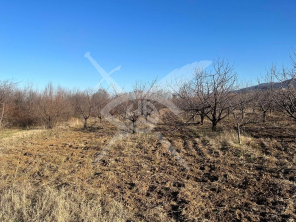 Парцел в с. Брестник, Област Пловдив - 1350 кв.м за 38 €/кв.м - Снимка #1