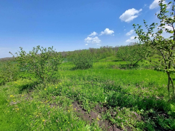 Земеделски имот в с. Драчево, Област Бургас -  кв.м за 2408 €/дка - Снимка #1