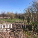 Парцел в Димитровград - 1750 кв.м за 4 €/кв.м - Снимка #1