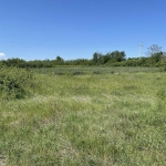 Парцел в с. Винарово, Област Стара Загора - 1720 кв.м за 25 €/кв.м - Снимка #1