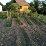 Къща в Търговище, Вилна зона - 40 кв.м за 587 €/кв.м - Снимка #1