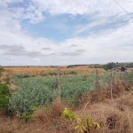 Парцел в Генерал Тошево - 1720 кв.м за 5 €/кв.м - Снимка #1