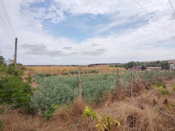 Парцел в Генерал Тошево - 1720 кв.м за 5 €/кв.м - Снимка #1