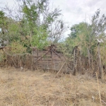 Парцел в с. Писарово, Област Добрич - 2400 кв.м за 4 €/кв.м - Снимка #1