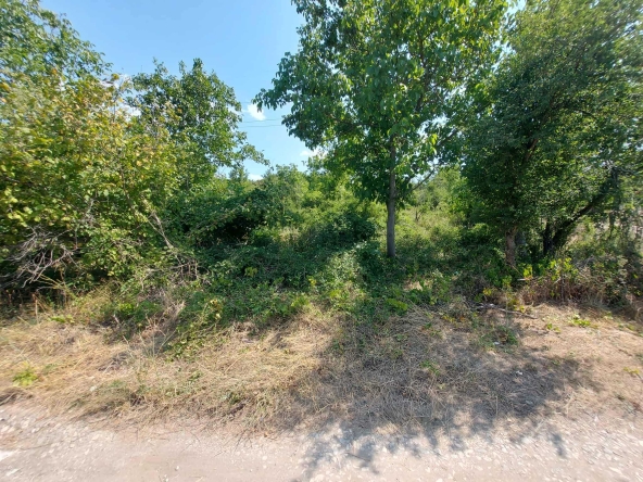 Парцел в Търговище, Вилна зона - 1071 кв.м за 10 €/кв.м - Снимка #1