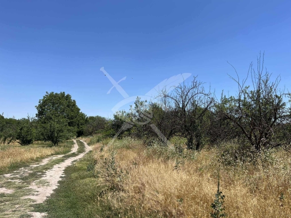 Парцел в с. Крумово, Област Пловдив - 2000 кв.м за 42 €/кв.м - Снимка #1