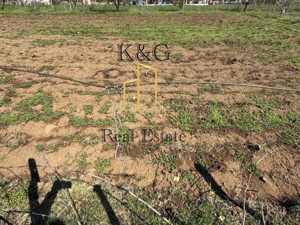 Парцел в с. Осенец, Област Разград - 1000 кв.м за 31 €/кв.м - Снимка #1