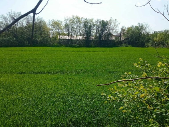 Парцел в Монтана, Идеален център - 1900 кв.м за 11 €/кв.м - Снимка #1