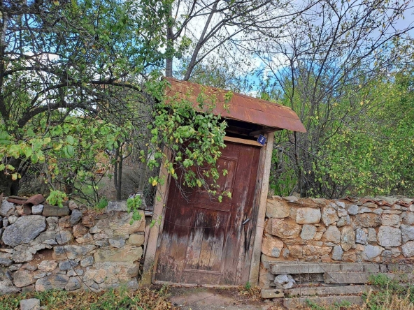 Парцел в с. Таваличево, Област Кюстендил - 1000 кв.м за 17 €/кв.м - Снимка #1