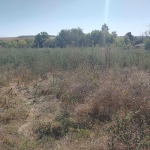 Парцел в с. Изворово, Област Добрич - 2250 кв.м за 3 €/кв.м - Снимка #1