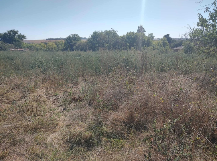 Парцел в с. Изворово, Област Добрич - 2250 кв.м за 3 €/кв.м - Снимка #1