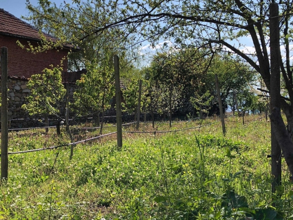 Парцел в с. Анево, Област Пловдив - 4000 кв.м за 4 €/кв.м - Снимка #1