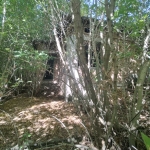 Къща в с. Изворово, Област Добрич - 92 кв.м за 56 €/кв.м - Снимка #1