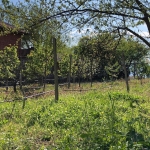 Парцел в с. Анево, Област Пловдив - 4000 кв.м за 4 €/кв.м - Снимка #1