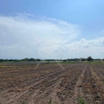 Парцел в с. Царацово, Област Пловдив - 1000 кв.м за 31 €/кв.м - Снимка #1