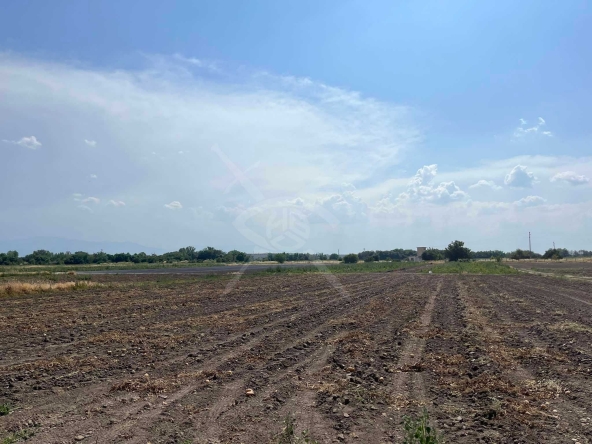 Парцел в с. Царацово, Област Пловдив - 1000 кв.м за 31 €/кв.м - Снимка #1