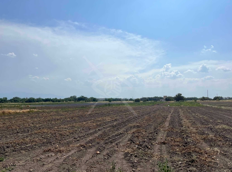 Парцел в с. Царацово, Област Пловдив - 1000 кв.м за 31 €/кв.м - Снимка #1