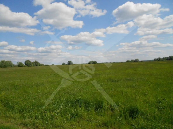 Парцел в с. Бенковски, Област Пловдив - 3305 кв.м за 12 €/кв.м - Снимка #1