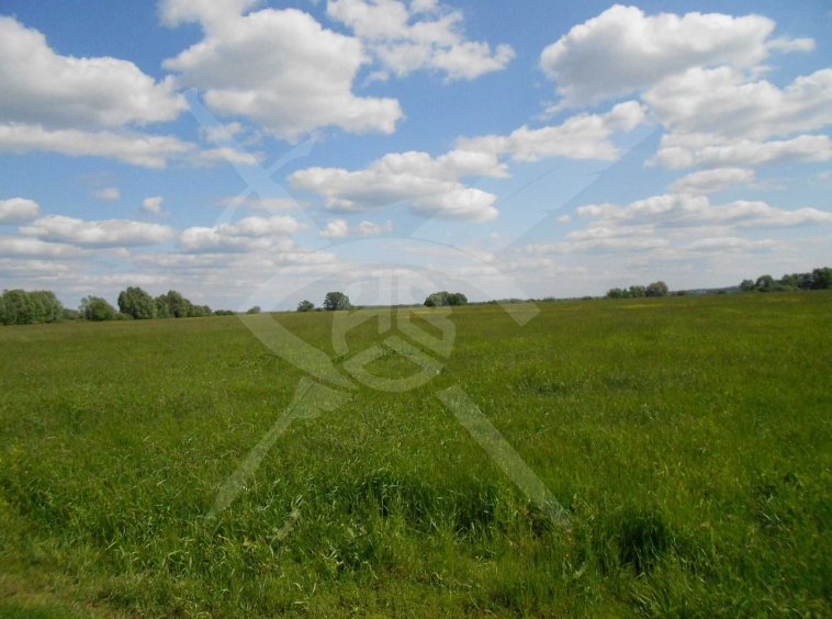 Парцел в с. Бенковски, Област Пловдив - 3305 кв.м за 12 €/кв.м - Снимка #1