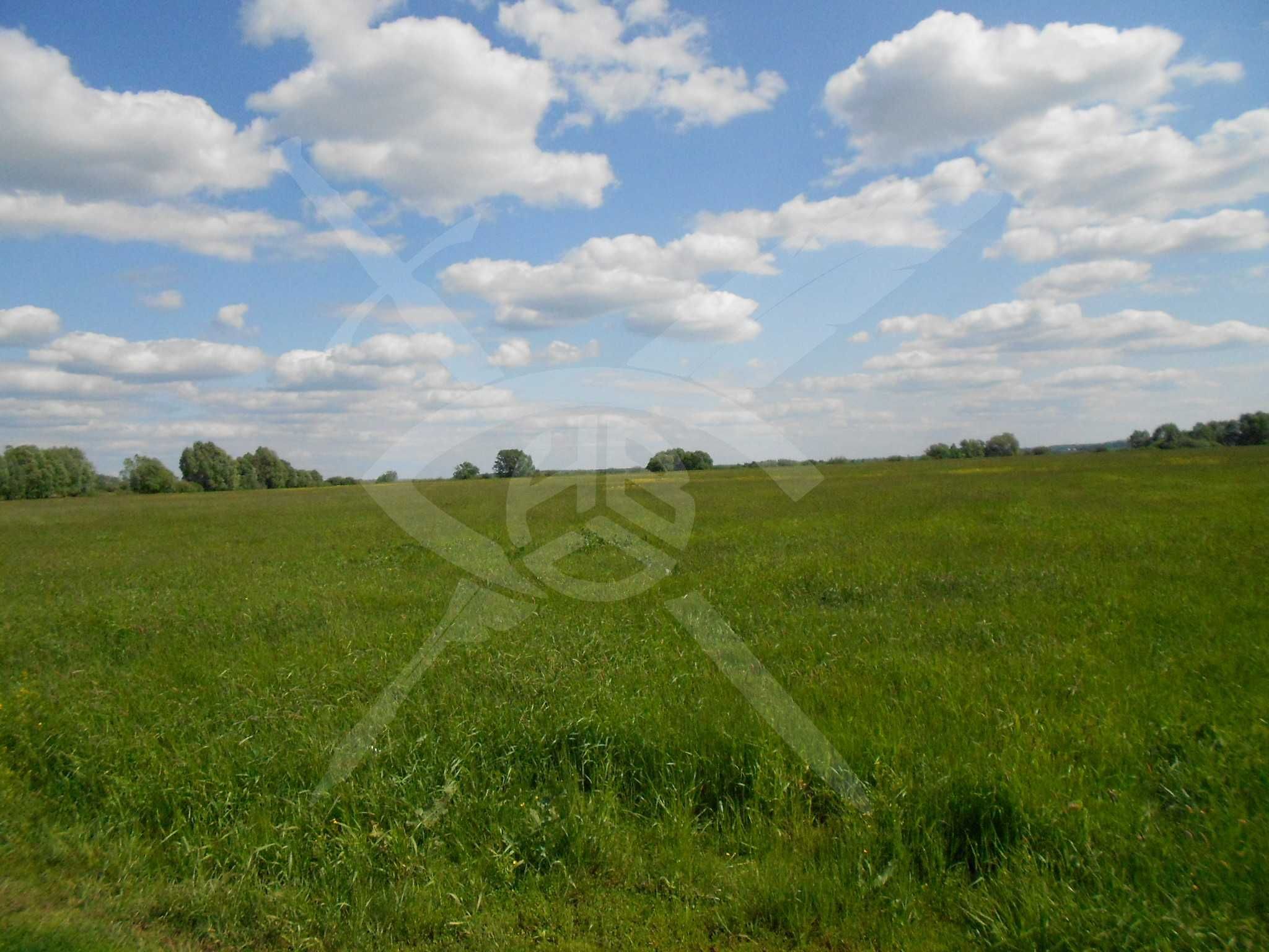 Парцел в с. Бенковски, Област Пловдив - 3305 кв.м за 12 €/кв.м - Снимка #1