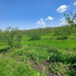 Земеделски имот в с. Драчево, Област Бургас -  кв.м за 737 €/дка - Снимка #1