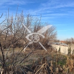 Парцел в с. Цалапица, Област Пловдив - 520 кв.м за 38 €/кв.м - Снимка #1