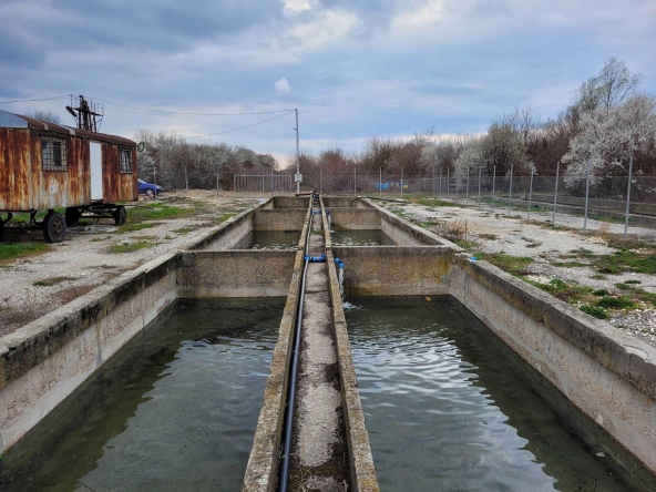 Промишлена сграда в Тутракан - 5000 кв.м за 14 €/кв.м - Снимка #1