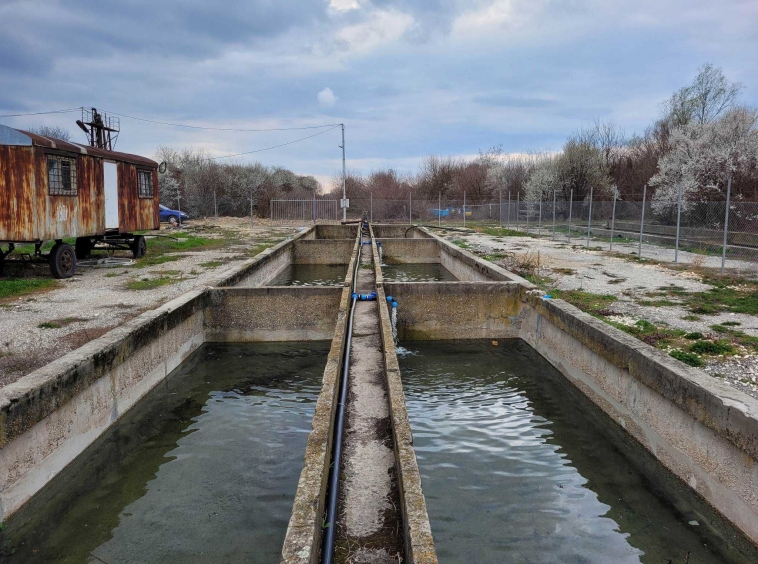 Промишлена сграда в Тутракан - 5000 кв.м за 14 €/кв.м - Снимка #1