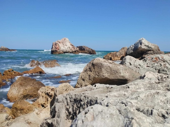 Парцел в Варна, Владислав Варненчик - 1000 кв.м за 20 €/кв.м - Снимка #1